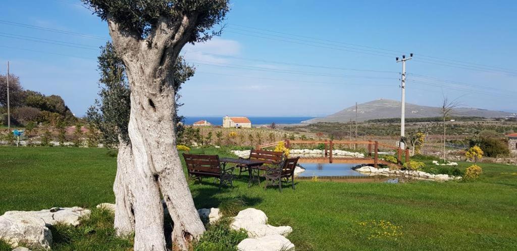 Adayel Bagevi & Butik Otel Τένεδος Εξωτερικό φωτογραφία